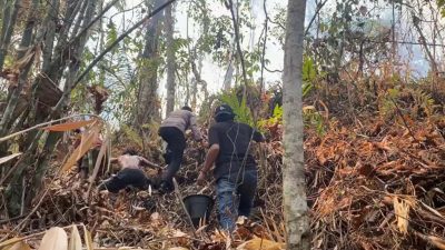 Kebakaran Lahan Kembali Terjadi, Polsek Ternate Utara Bersama Warga Berupaya Padamkan Api