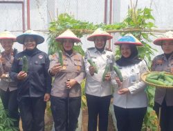 Polres Ternate Jalin Kerja Sama dengan Lapas Perempuan Suplai   Hasil Pertanian Warga Binaan