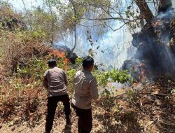 Personel Polres Ternate Bersama TNI dan Warga Berjibaku Padamkan Karhutla di Kelurahan Tubo