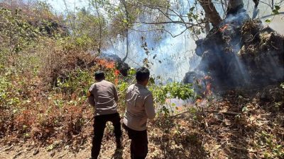 Personel Polres Ternate Bersama TNI dan Warga Berjibaku Padamkan Karhutla di Kelurahan Tubo