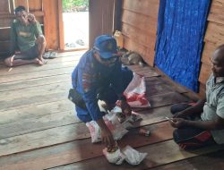 Sempat Melawan Petugas, Nelayan di Halsel Diamankan Polisi, Kuasai Dua Bom Siap Ledak