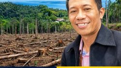 122 Ribu Orang Tanimbar Ngamuk Tolak HPH, LMAT: Itu Perampokan! Bayar Cuma 1,5% Harga Pasar