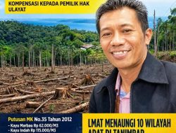 122 Ribu Orang Tanimbar Ngamuk Tolak HPH, LMAT: Itu Perampokan! Bayar Cuma 1,5% Harga Pasar