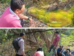 Naas! Warga Desa Tomahalu Ini Ditemukan Tak Bernyawa di Kebun Desa Katana