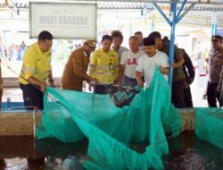 Panen Raya Perdana Sadaka Farm Hasilkan 2 Ton Ikan