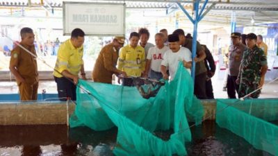 Panen Raya Perdana Sadaka Farm Hasilkan 2 Ton Ikan