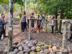 Geger! 3 Warga di Halteng Diserang OTK Bersenjata Busur, Ditemukan Ranjau Bambu