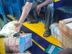 Penyelundup Cap Tikus Kabur, 2 Kardus Miras Diamankan Polsek Ternate Utara 
