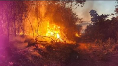Kebakaran Hutan Merembet ke Permukiman, HIPMI Haltim-Jakarta Desak Pemda Bergerak