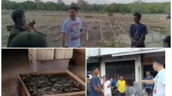 Bupati Kepulauan Tanimbar Tinjau Produksi Ikan Asin di Gedung Putih Pasar Omele