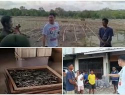 Bupati Kepulauan Tanimbar Tinjau Produksi Ikan Asin di Gedung Putih Pasar Omele
