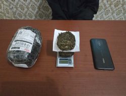 Wanita Tanimbar Tak Berkutik Ditangkap di Kos Lokulamo, Ganja 80,20 Gram Lewat J&T Terbongkar