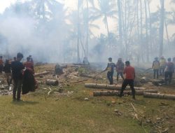 Tim Gabungan Berhasil Padamkan Kebakaran Kebun Kelapa Satu Hektare di Kota Ternate