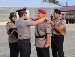Quick Wins Kapolri, Kapolda Malut Perintahkan Dirresnarkoba Baru Bongkar Kampung Narkoba