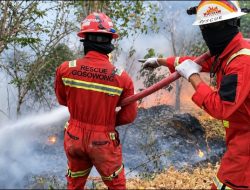 NHM Perkuat Kesiapsiagaan Hadapi Karhutla dengan Respons Terpadu dan Berlapis