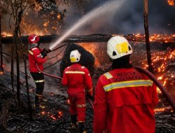 Begini Respons Terpadu NHM dalam Penanganan Karhutla di Gosowong